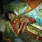 [avatar]