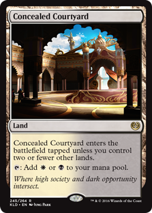 Concealed%20Courtyard