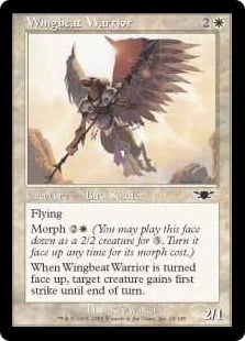 Wingbeat%20Warrior