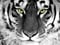 [avatar]