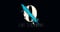 [avatar]